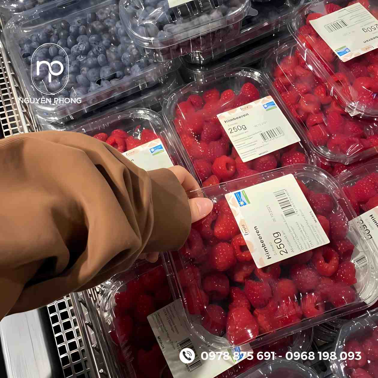Mẫu tem dán dâu tây 